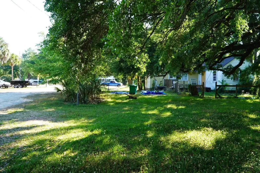 Picture 21