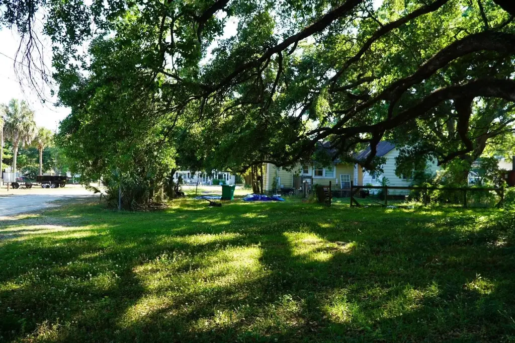 Picture 20
