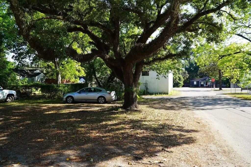 Picture 25