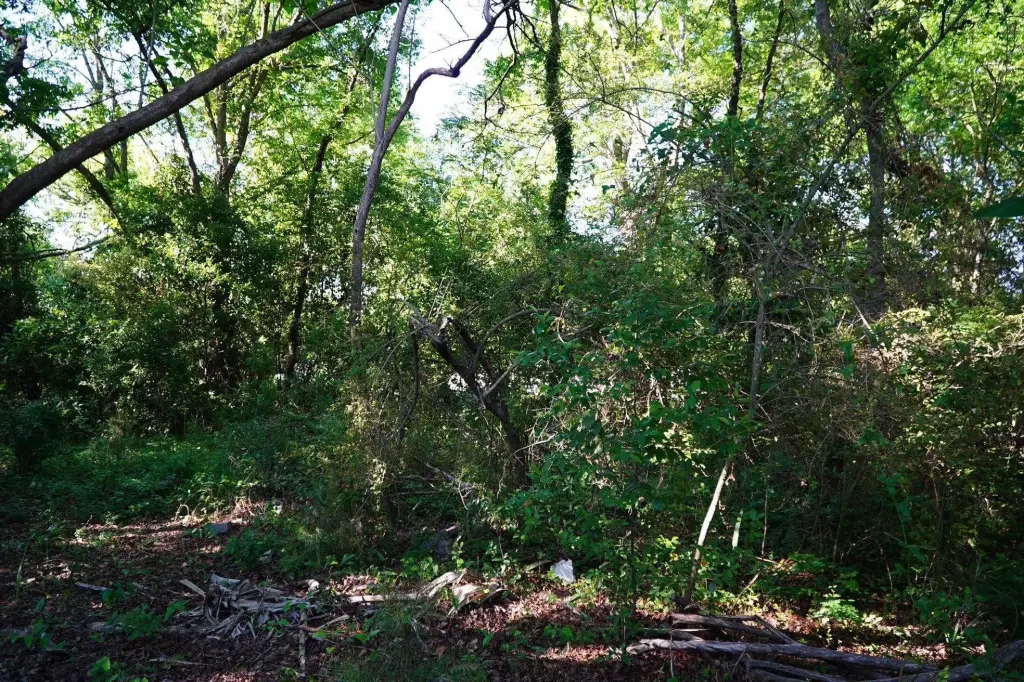 Picture 23