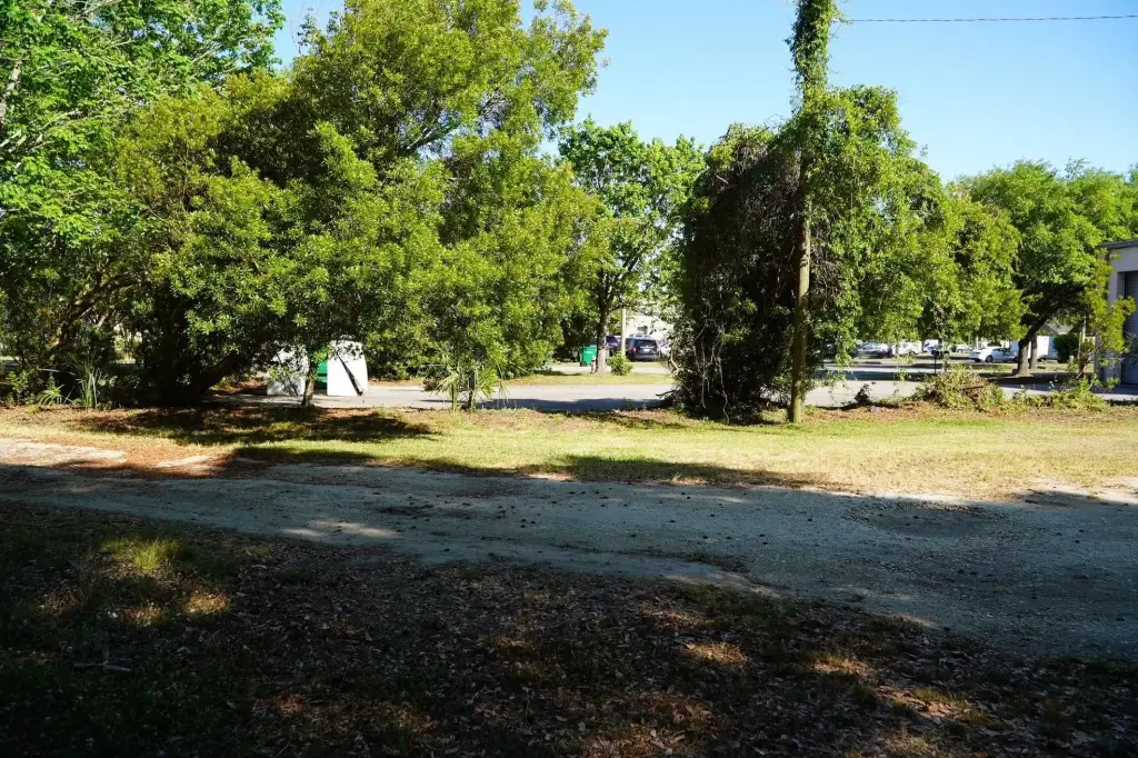 Picture 27
