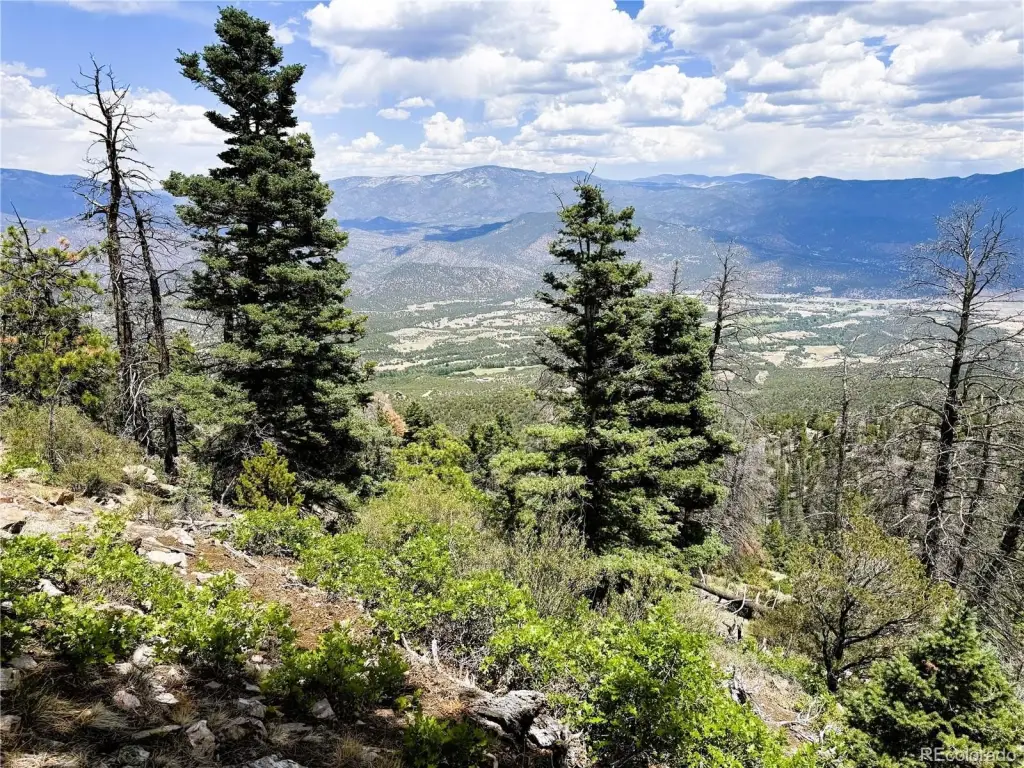 Picture 21