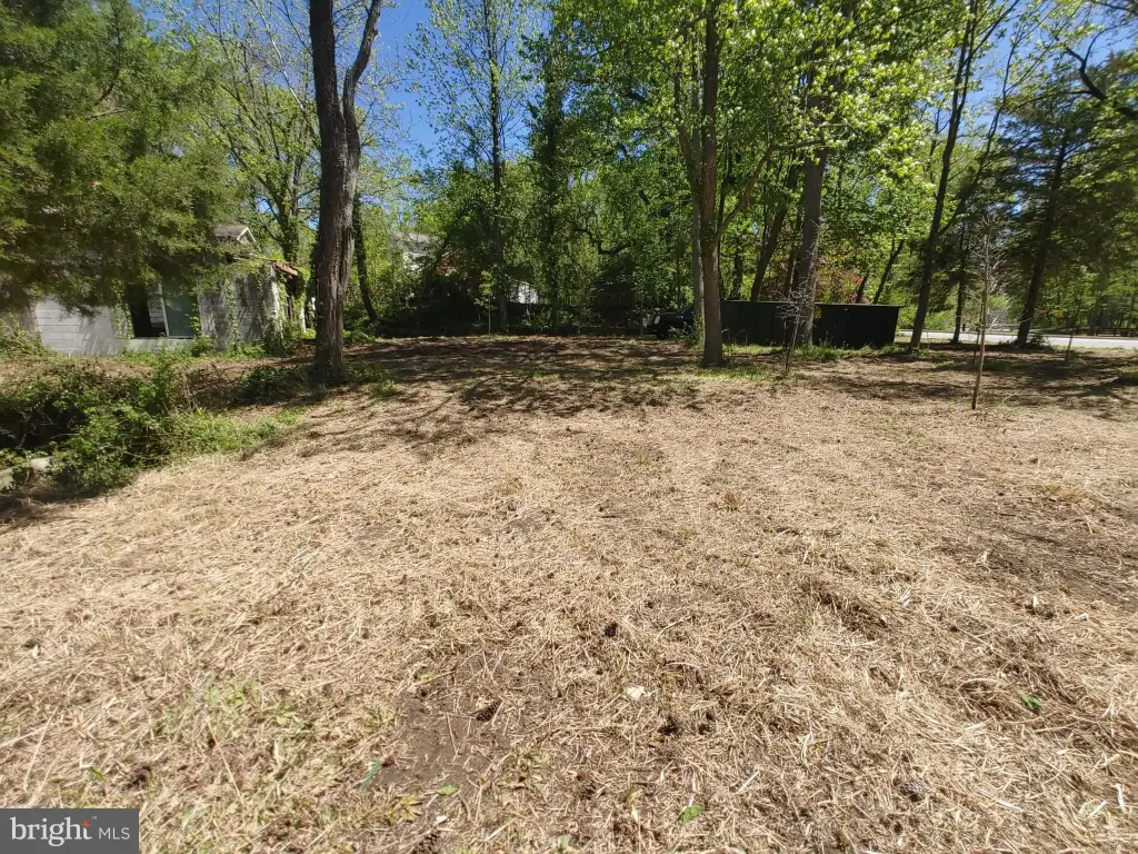 Picture 11