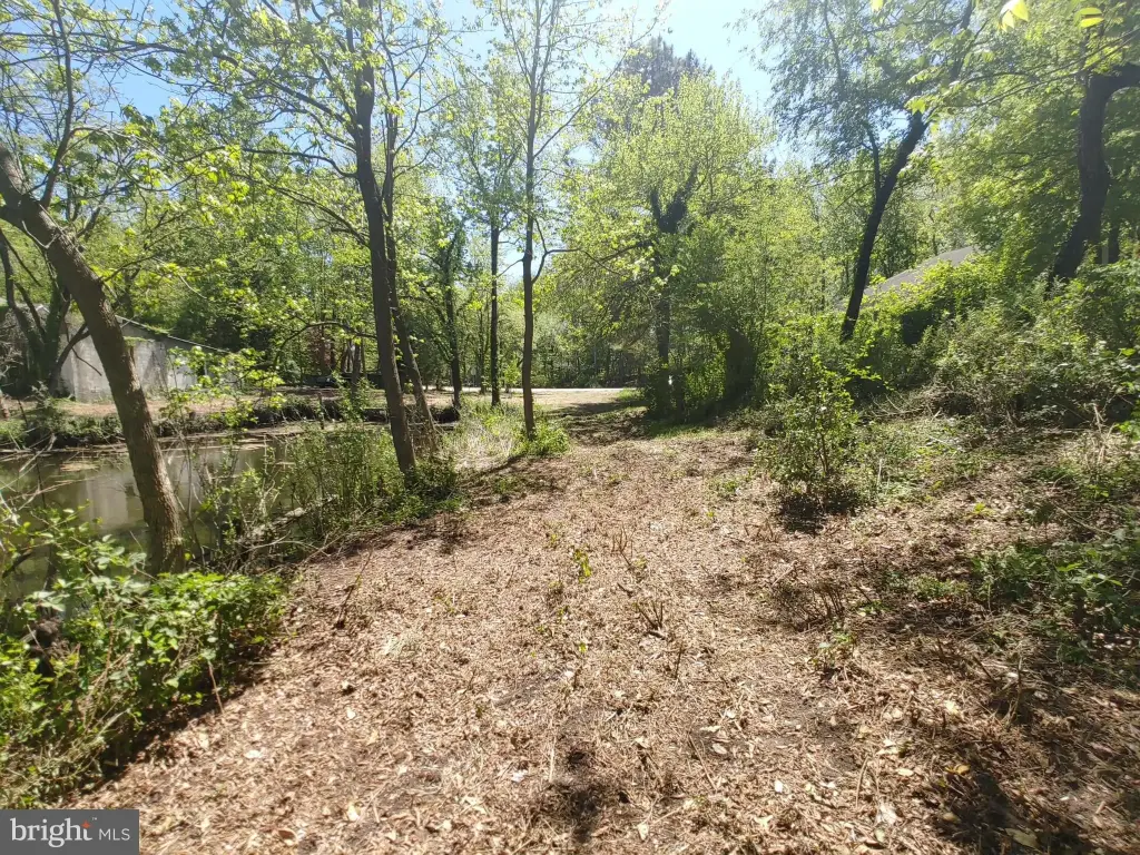 Picture 16