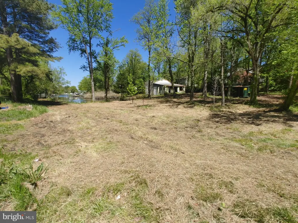 Picture 21