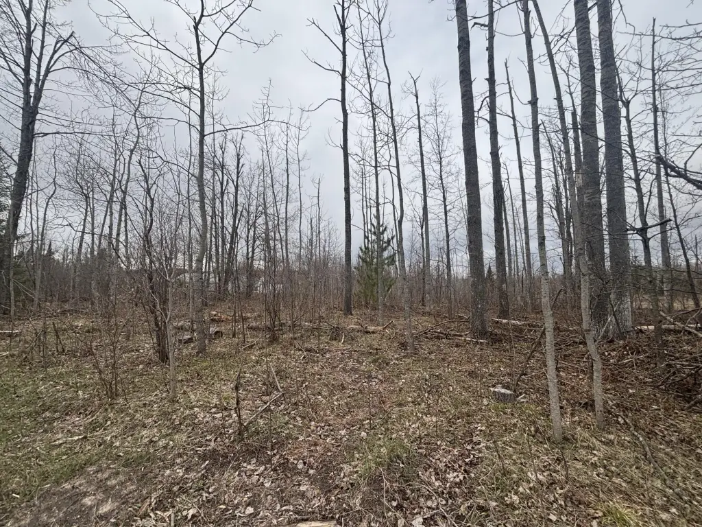 Picture 15
