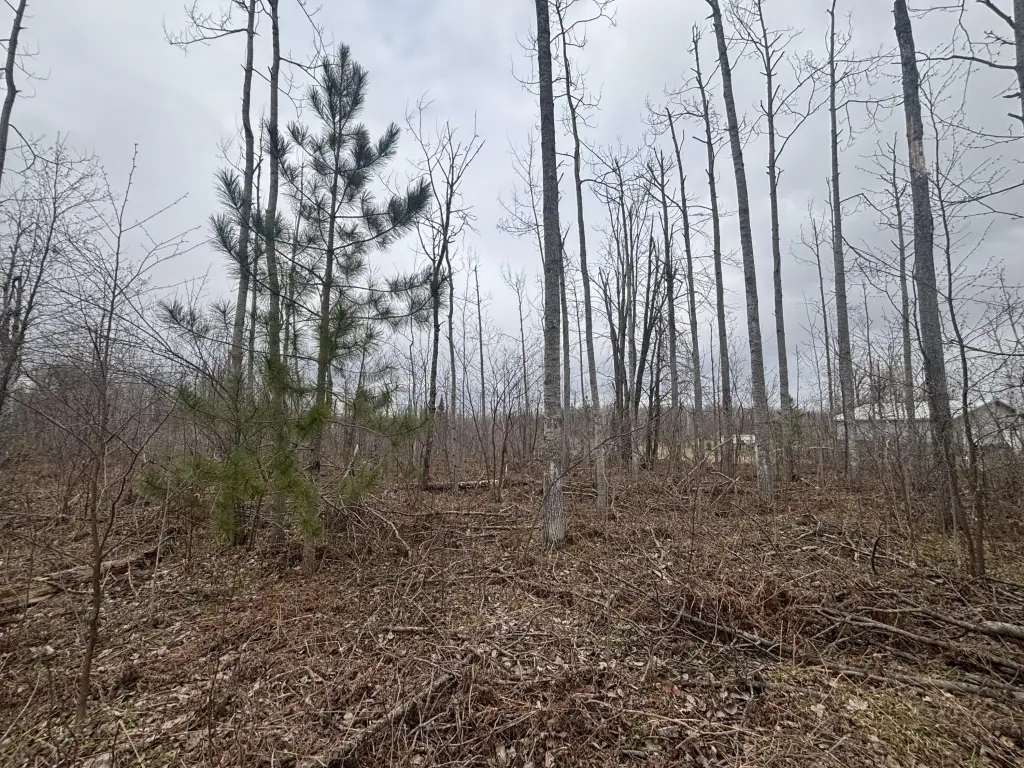 Picture 16