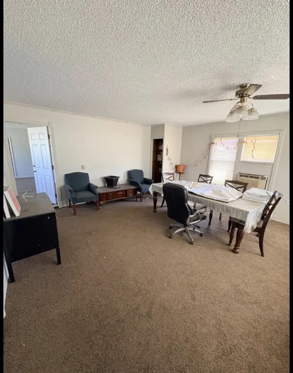 Picture 5