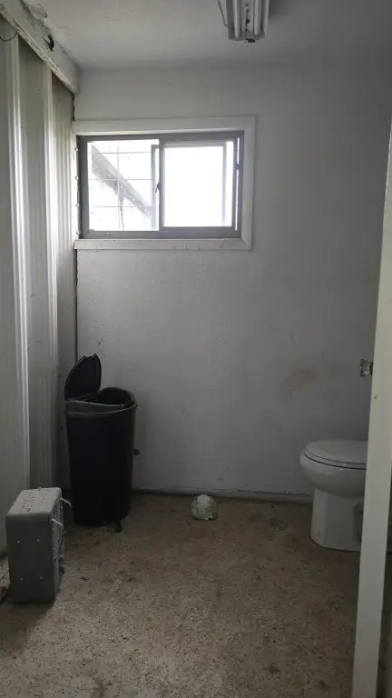 Picture 5