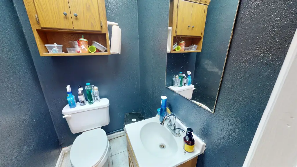 Picture 17