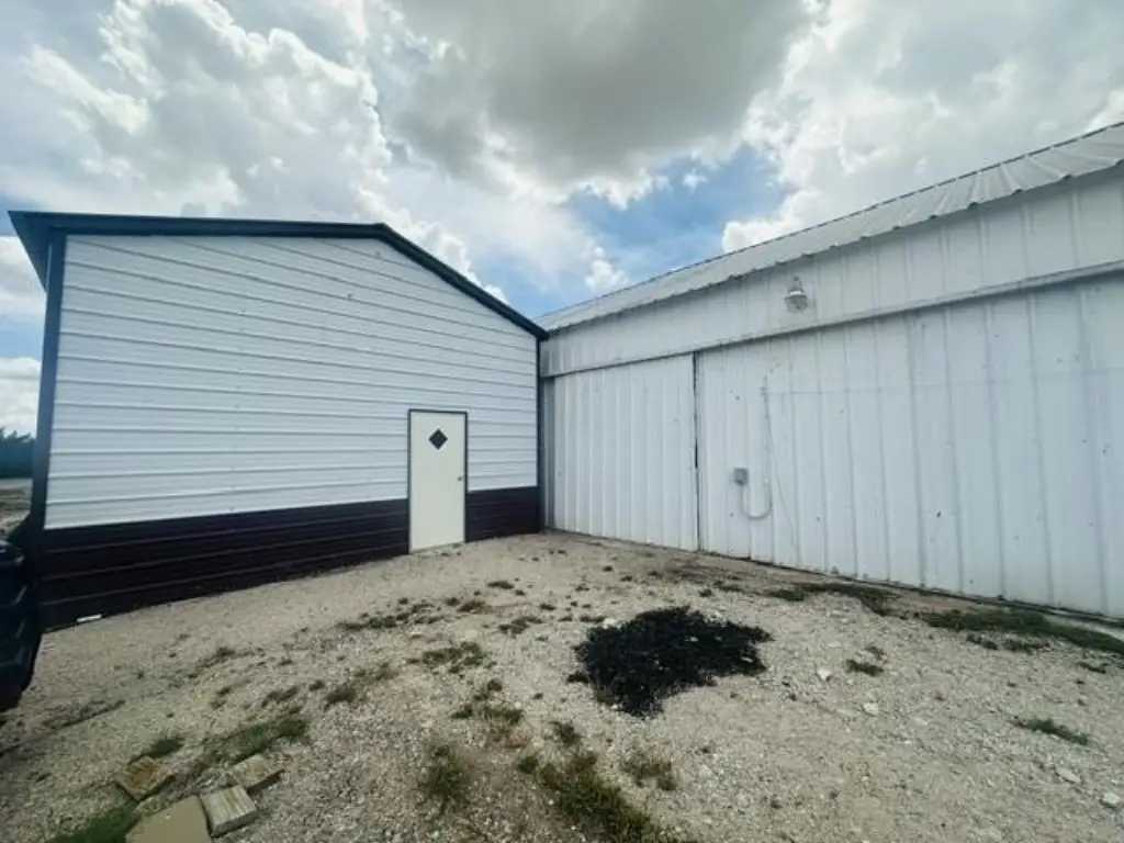 Picture 8