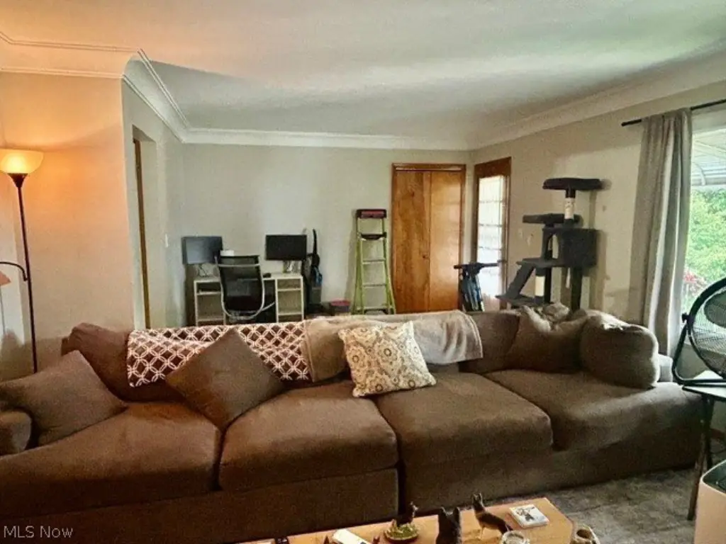 Picture 21