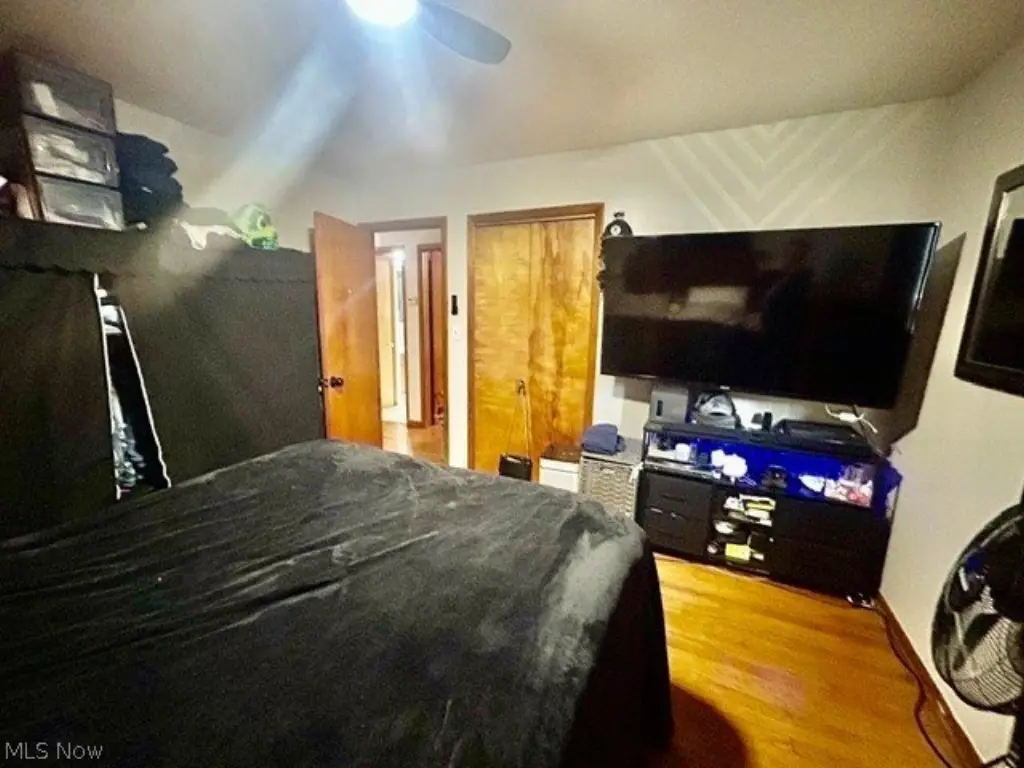 Picture 14
