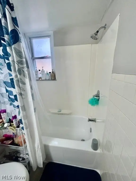 Picture 29