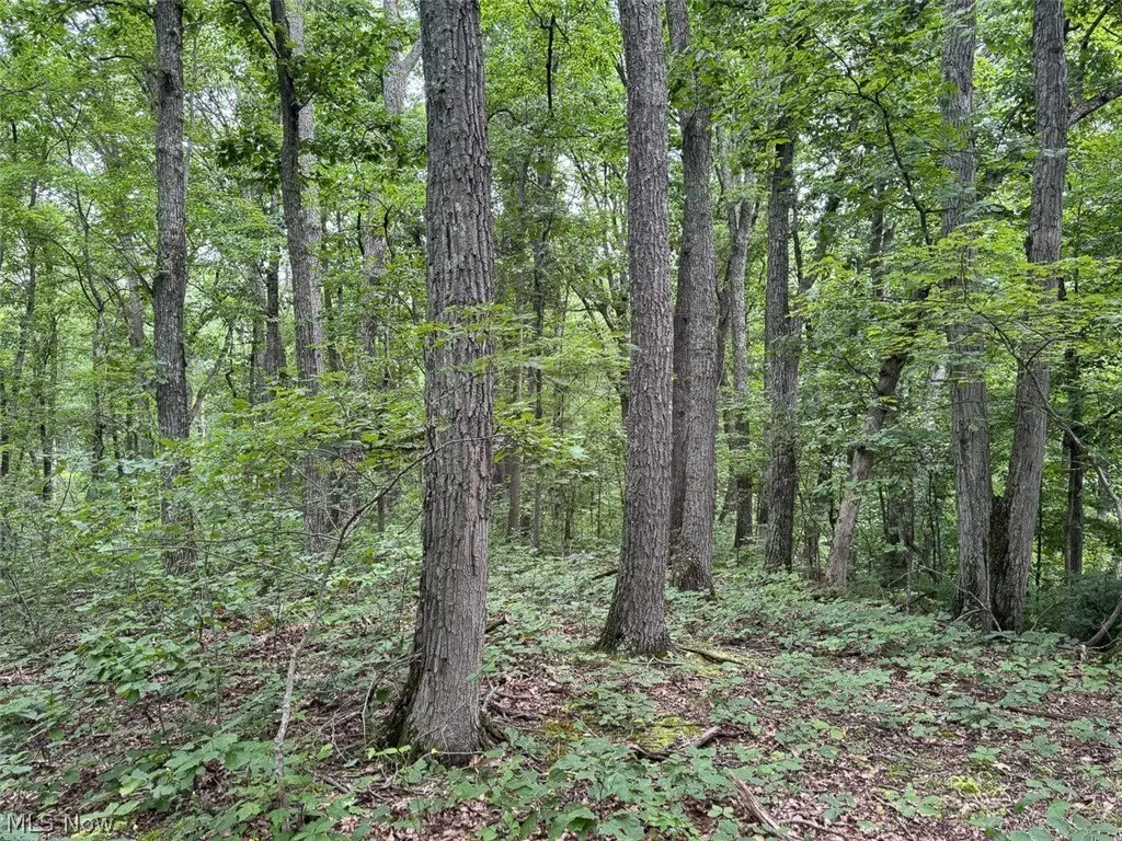 Picture 12