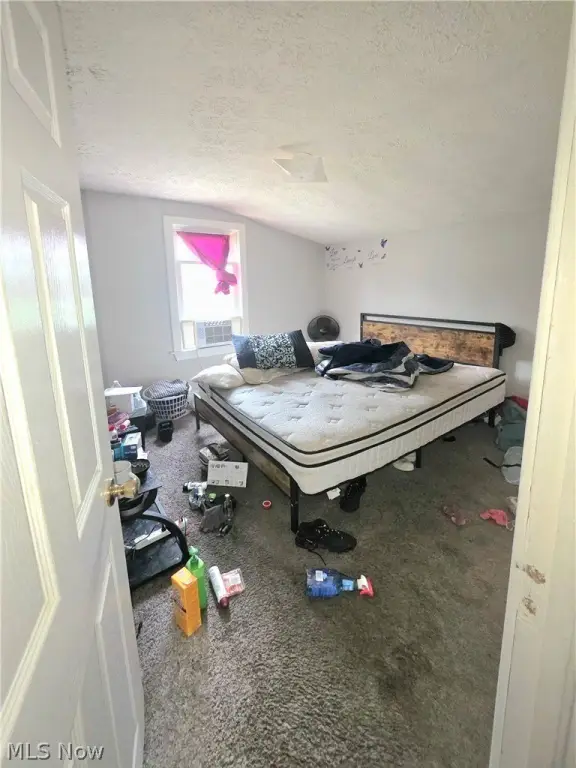 Picture 20