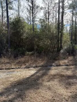Hortense, GA Residential Homesite