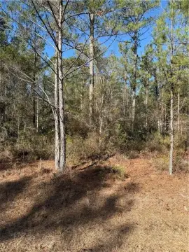 Hortense, GA Residential Homesite