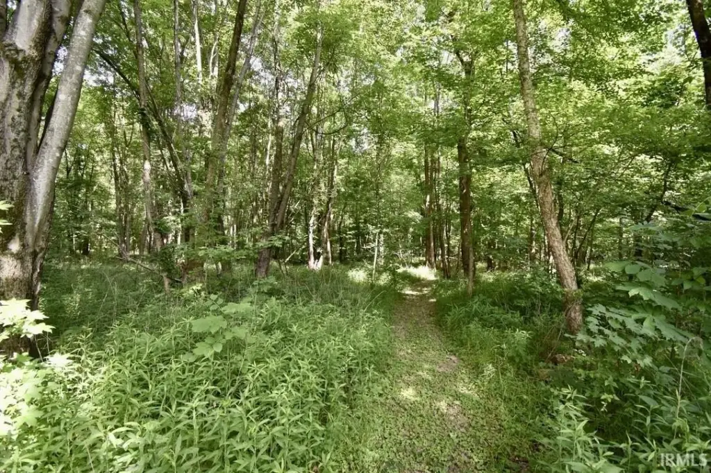 Picture 9