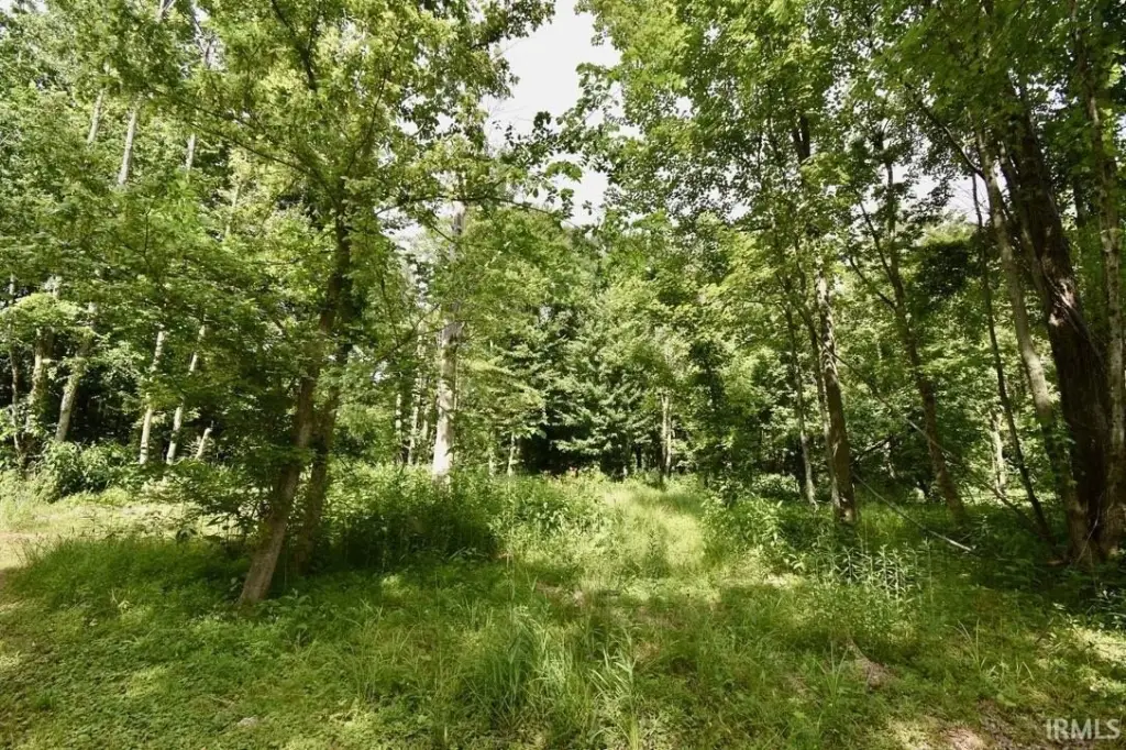 Picture 6