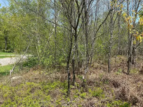 Wooded Lot in Crestview Estates