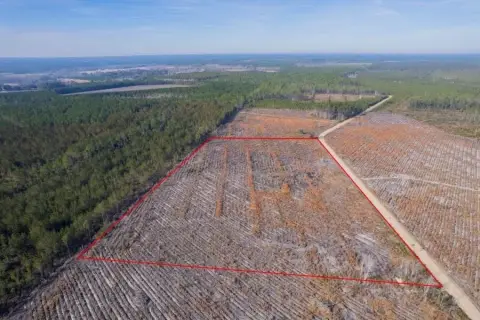 Residential Land with Young Pines