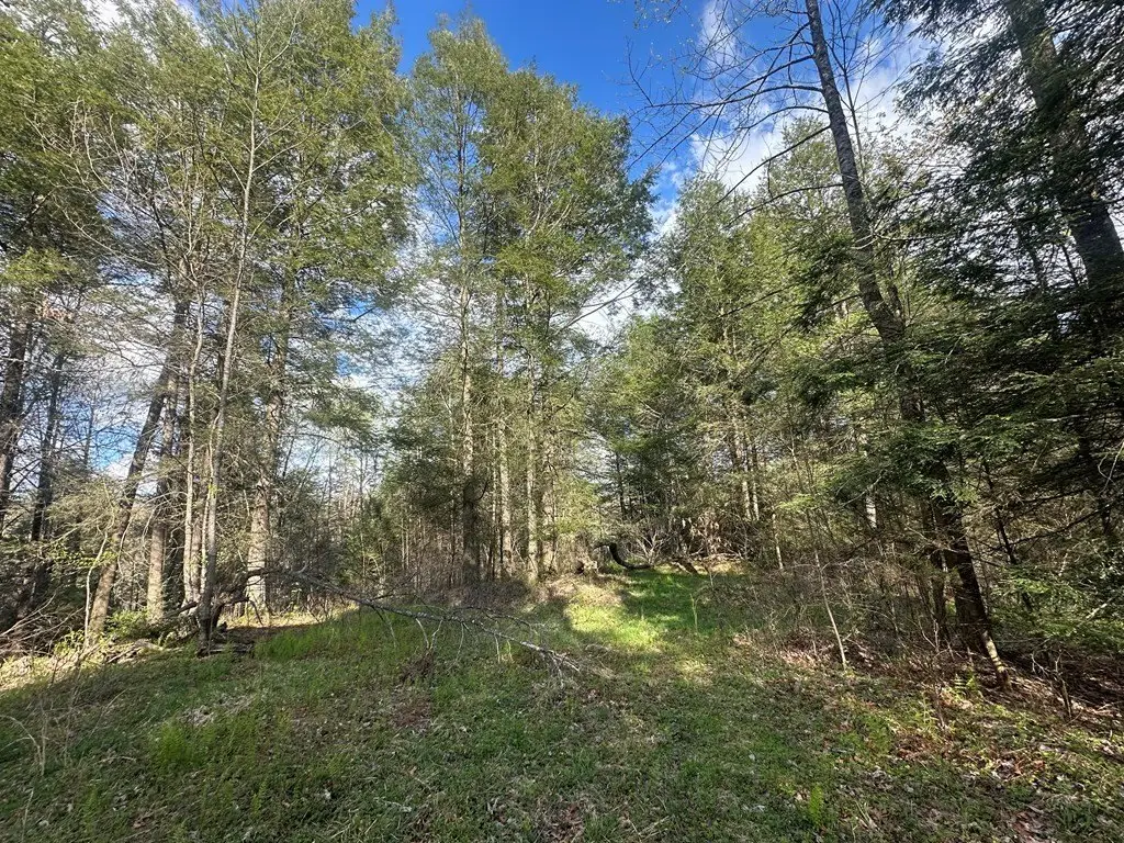 Picture 23