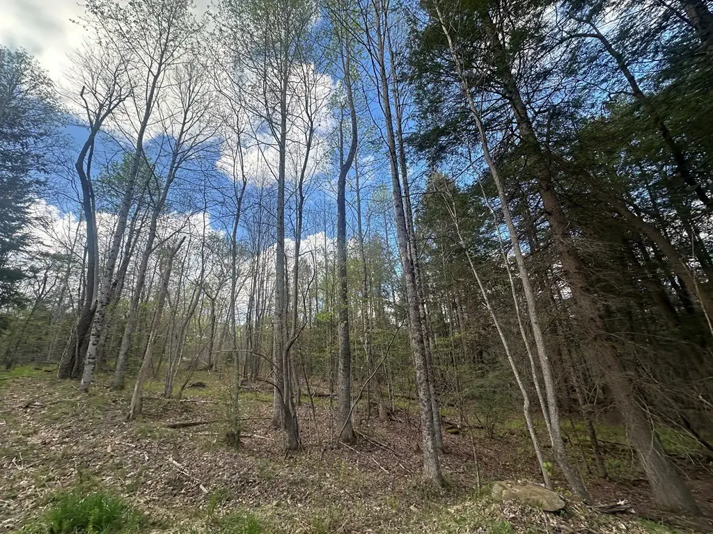Picture 30