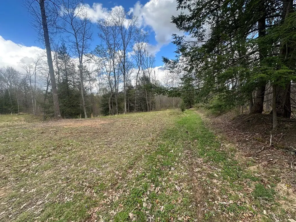 Picture 5
