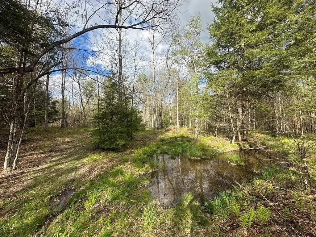 Picture 19