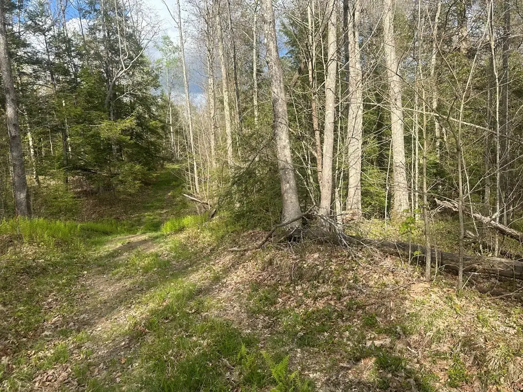 Picture 20