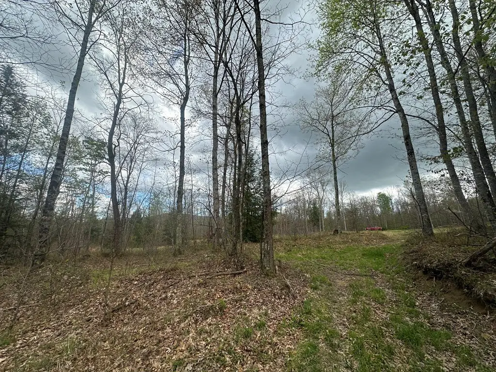 Picture 13
