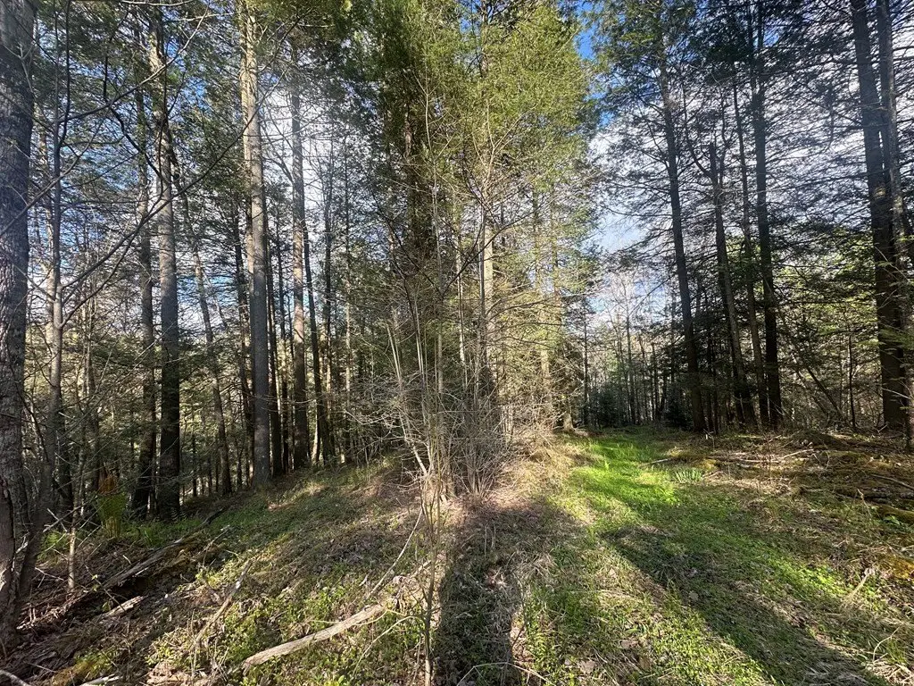 Picture 24