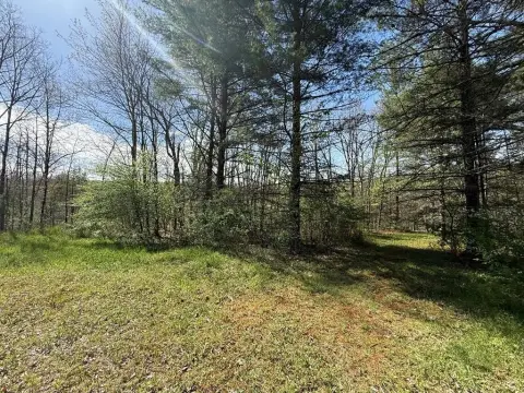 Land Near VA Facilities