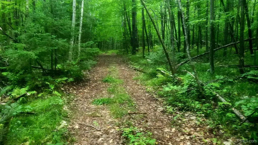 Picture 6