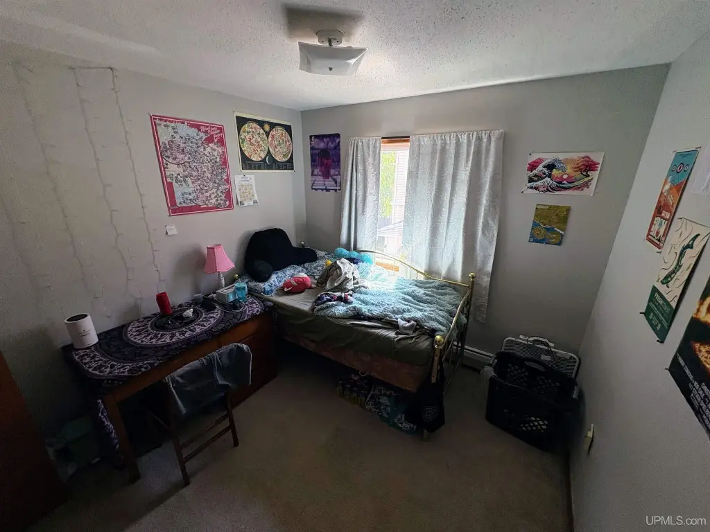 Picture 5