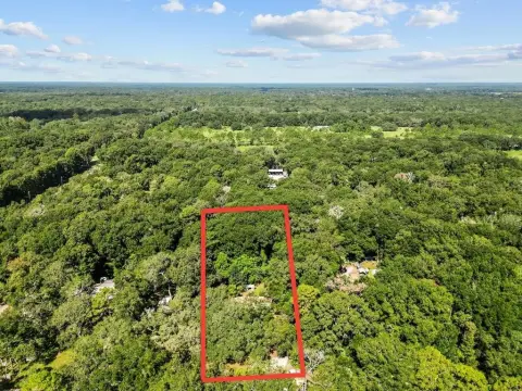 Wooded Lot in Fanning Springs