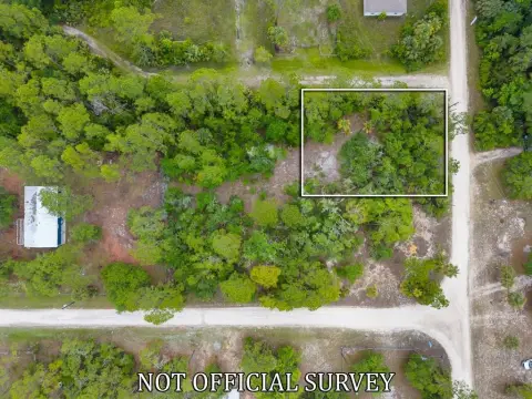 Land for Sale in Suwannee