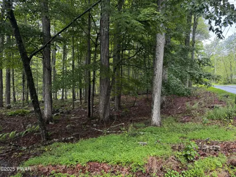 Residential Lot Near Lake Wallenpaupack