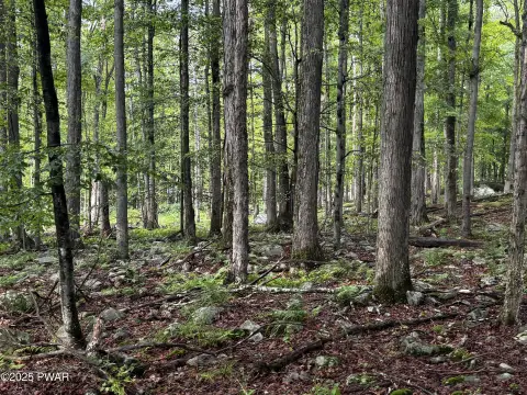 Residential Land Near Lake Wallenpaupack