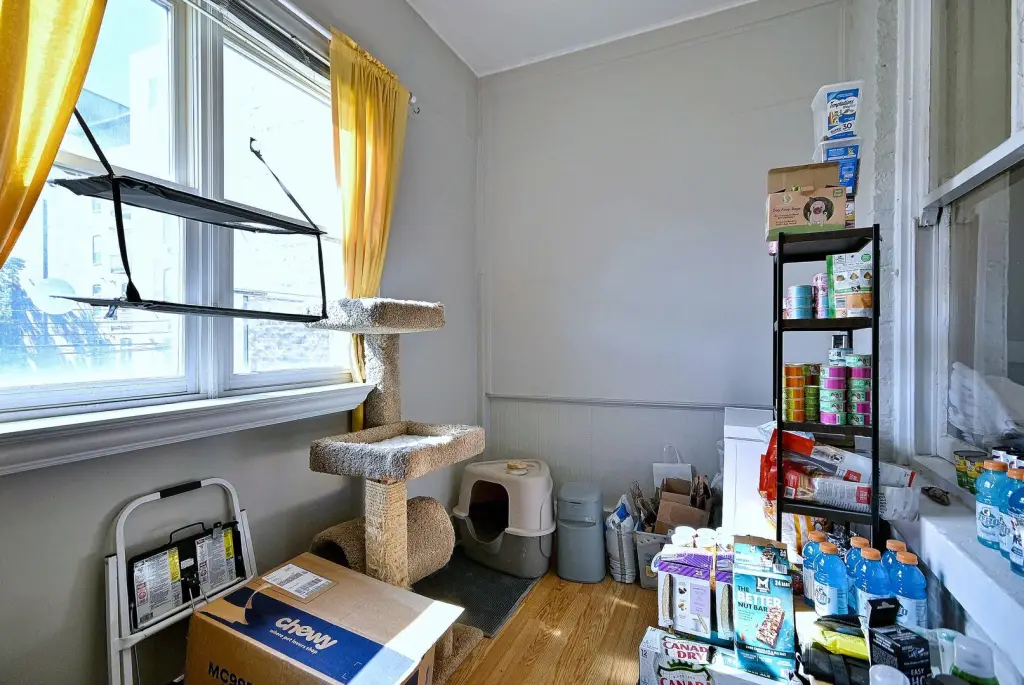 Picture 17
