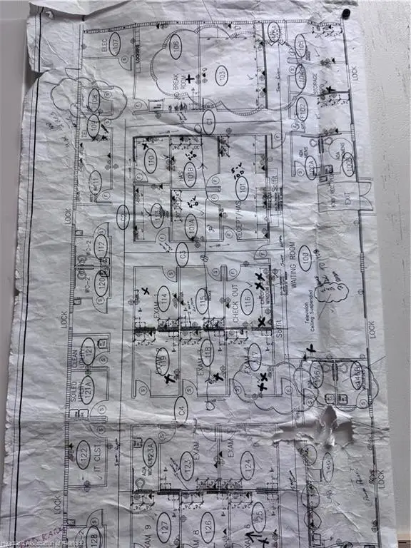 Picture 25