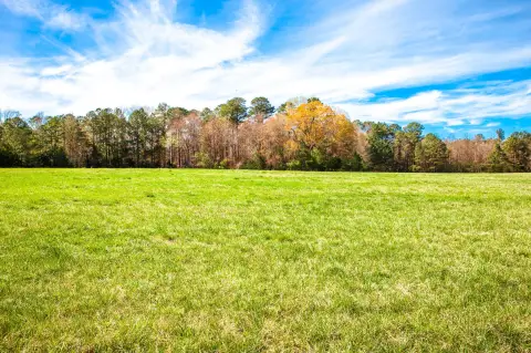 Estate Lot with Open Pasture