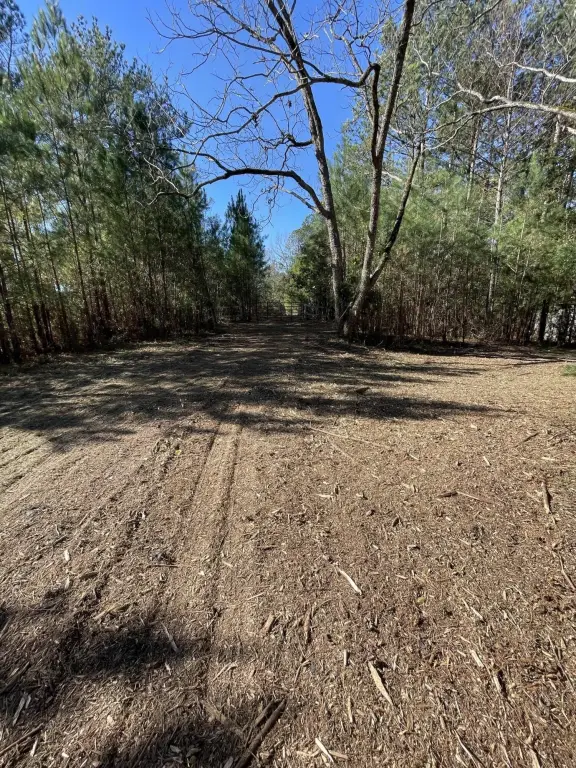 Picture 25