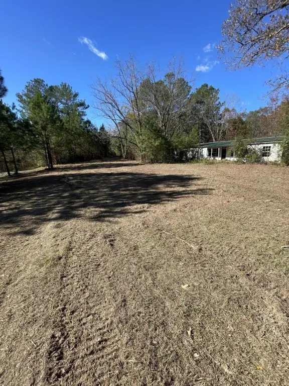 Picture 23