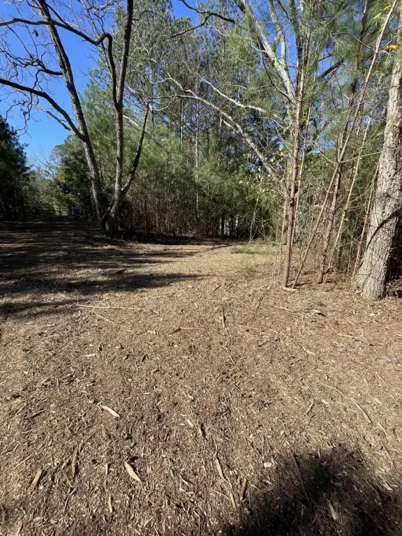 Picture 26