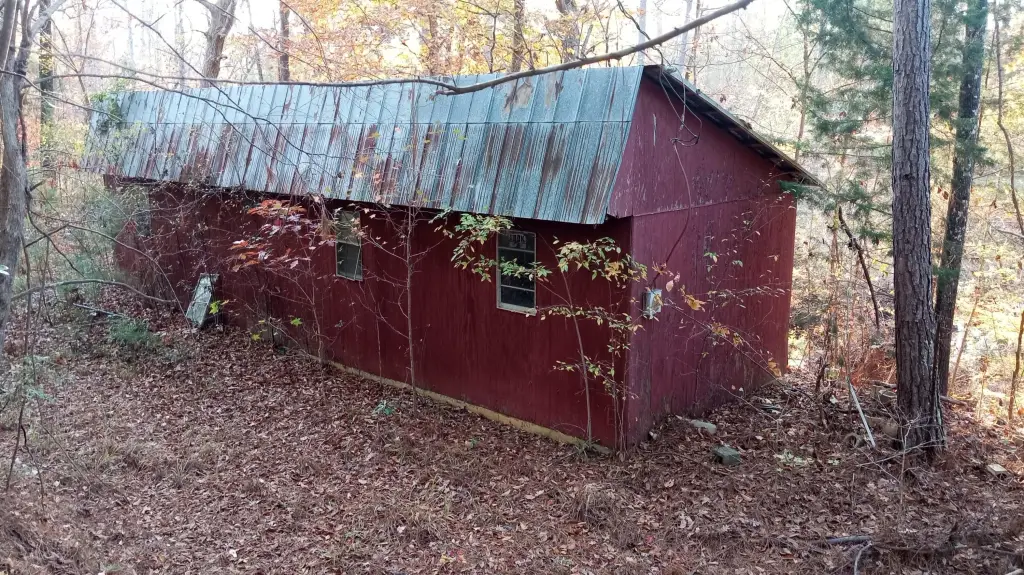 Picture 6
