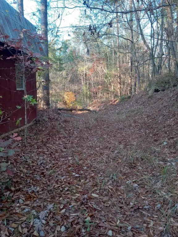 Picture 42