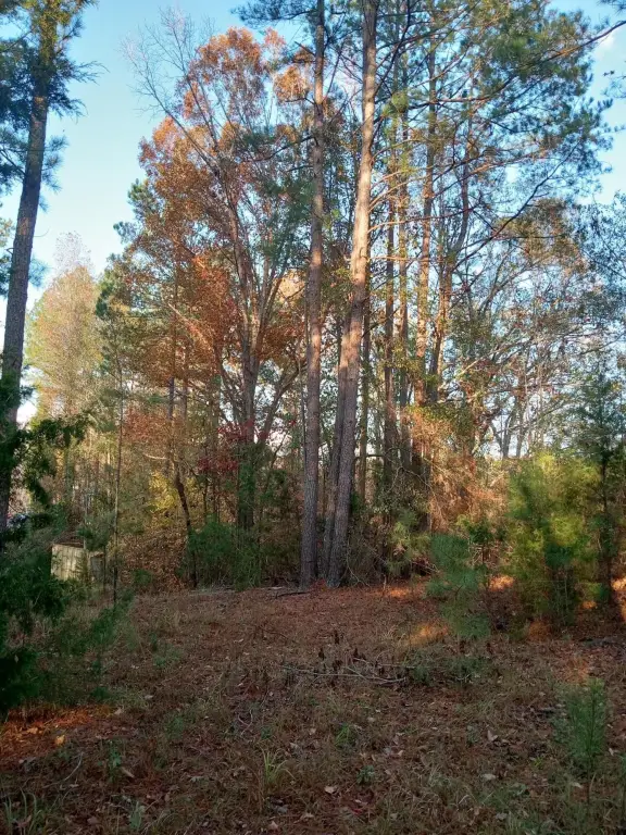 Picture 48