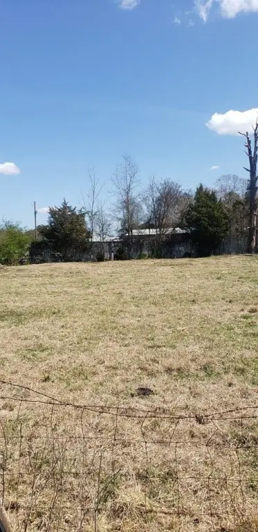 Picture 15